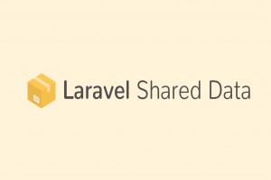 Laravel Shared Data